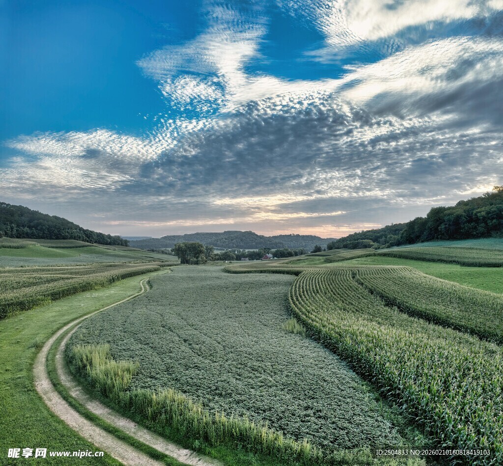 田园风光中的蜿蜒田间小路