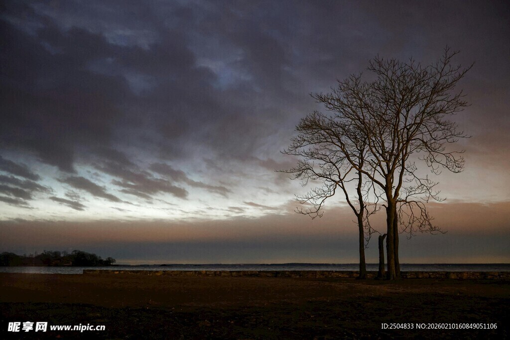 黄昏旷野孤树的静谧景象