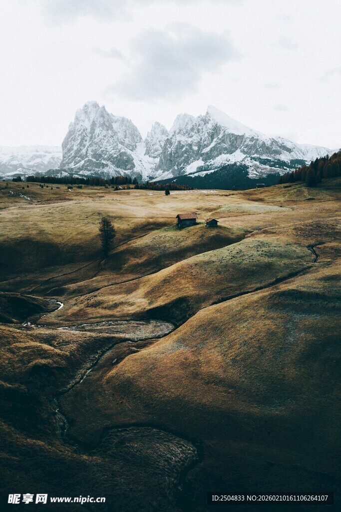 广袤荒原与远处雪山景观