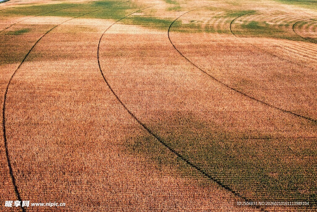 田野中的弧形田埂线条