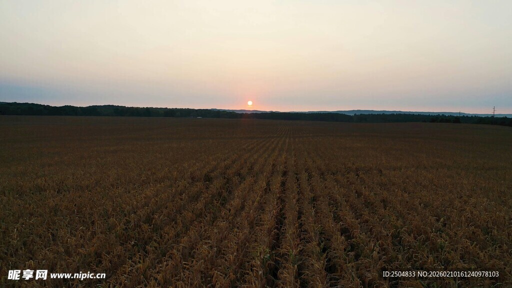 夕阳下的广袤农田