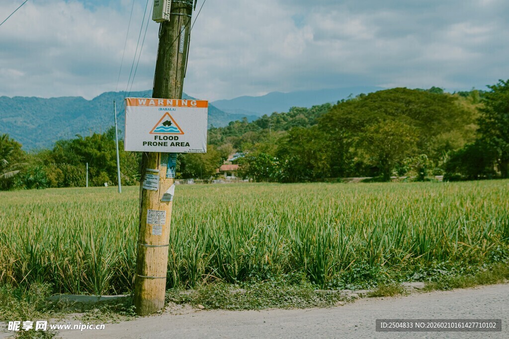 田野旁的木质指示牌