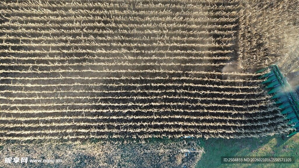 俯瞰整齐排列的农田