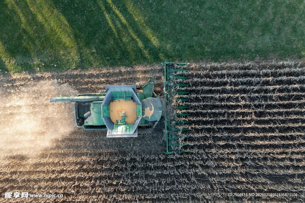 农田中作业的绿色 割机