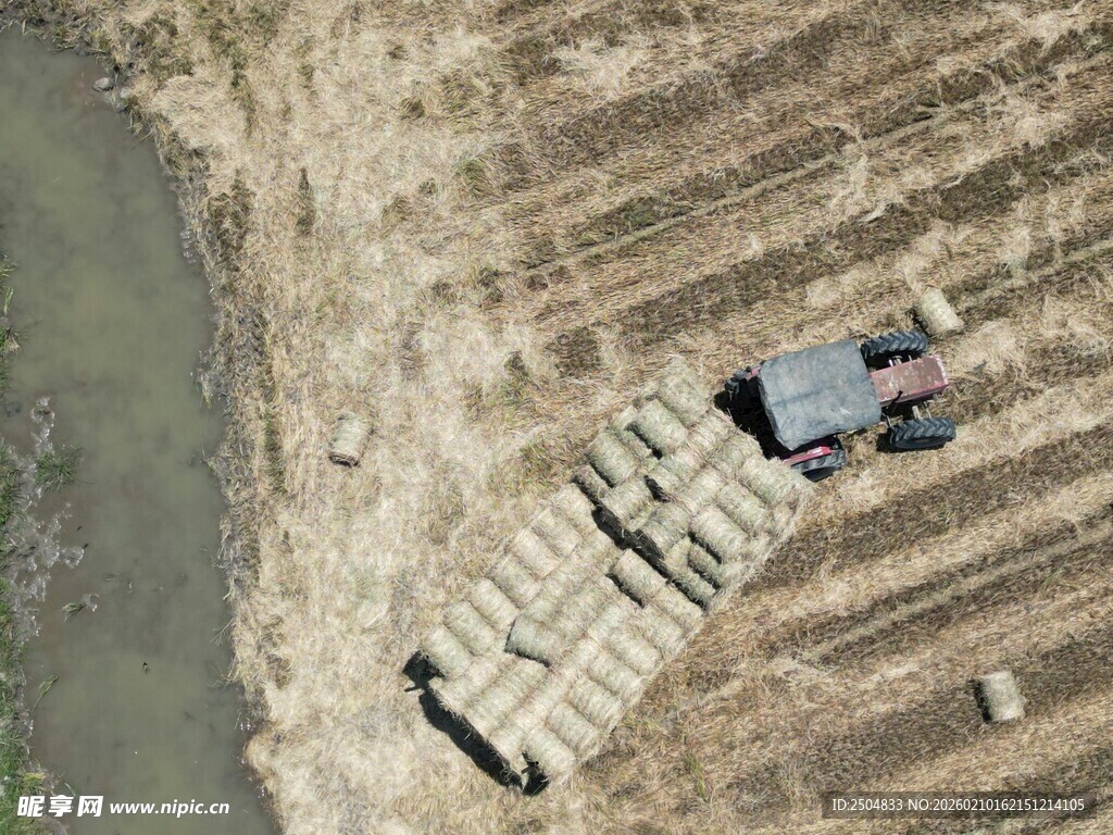 农田中劳作的农机与农人