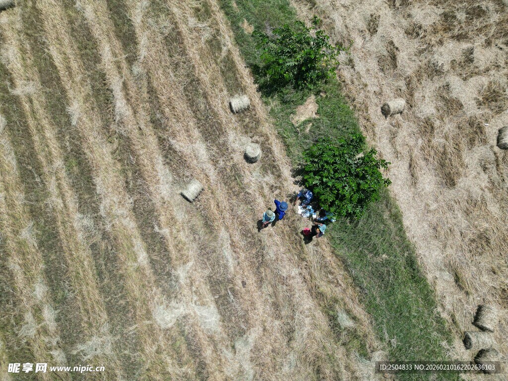 田野中的救援场景
