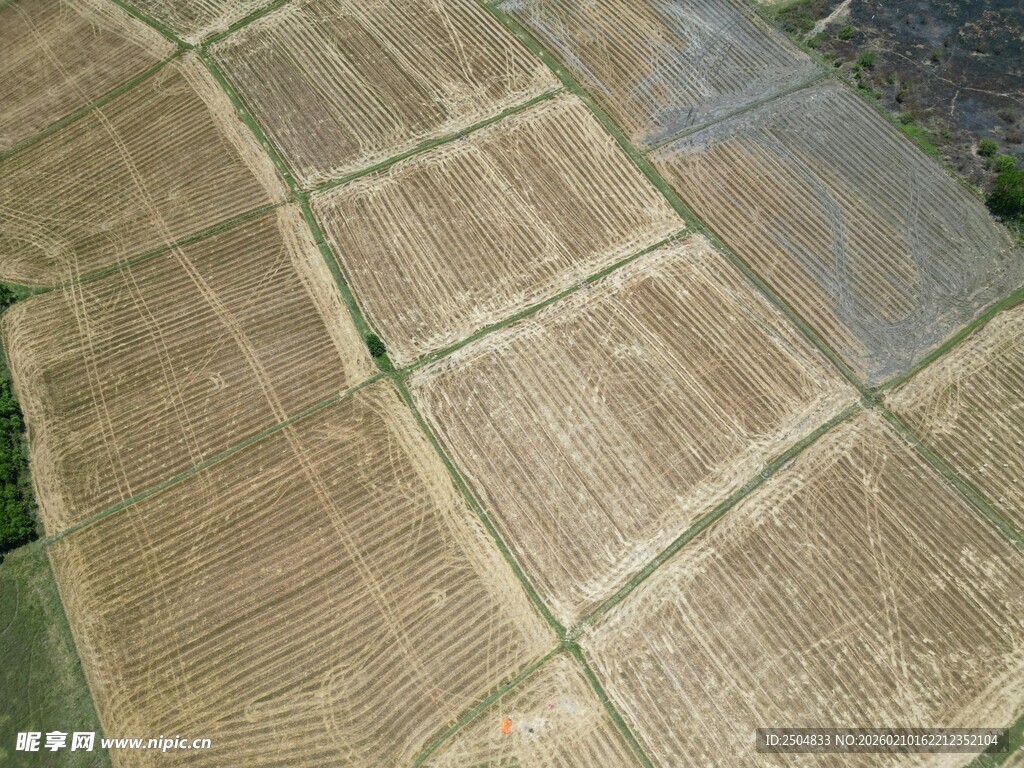 户外石板地面纹理特写