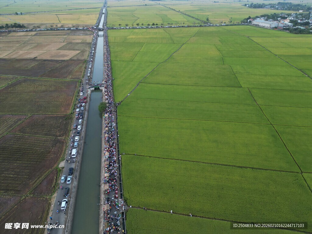 航拍农田间的公路车流