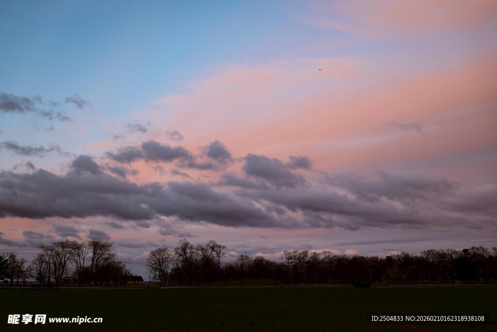 黄昏时分的天空与树林