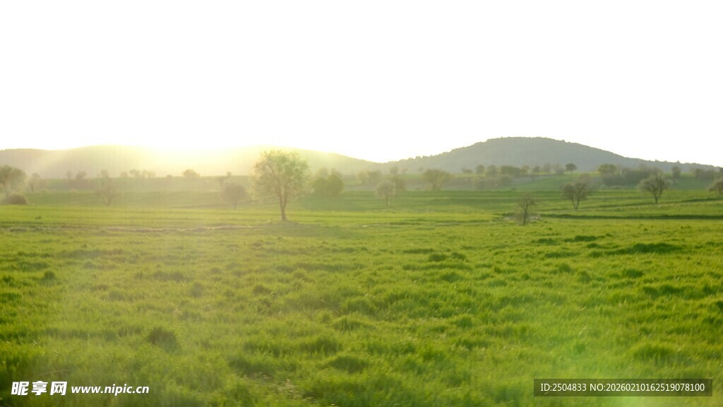 绿野晨光 自然田园美景