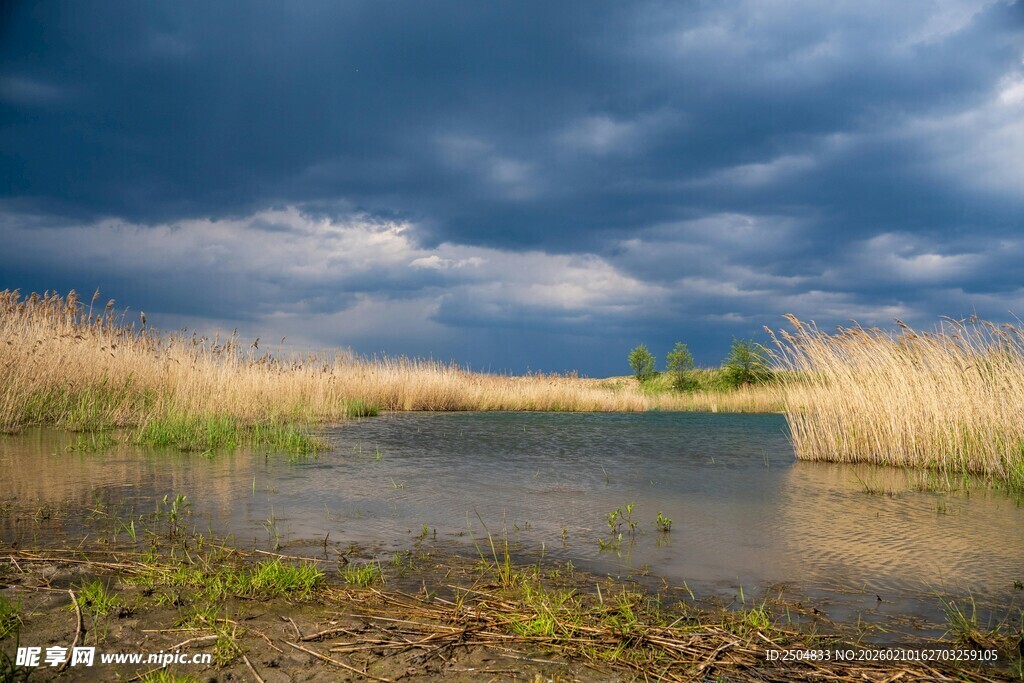 阴云下的湿地风光