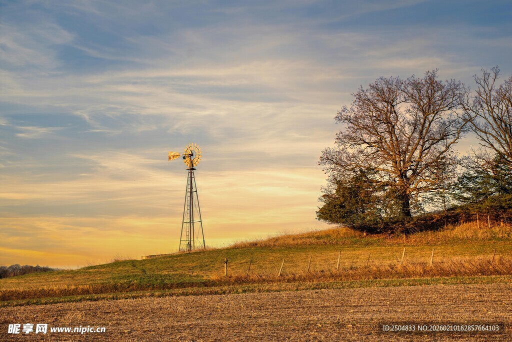 黄昏田野中的风车与孤树