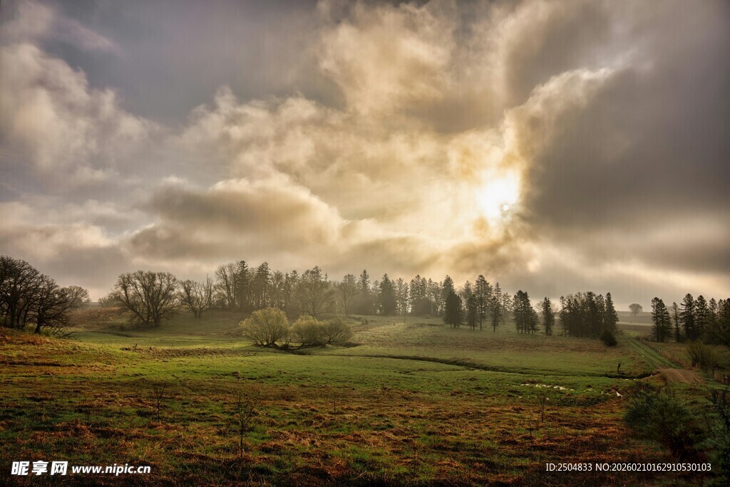 日出时分的田野与树林