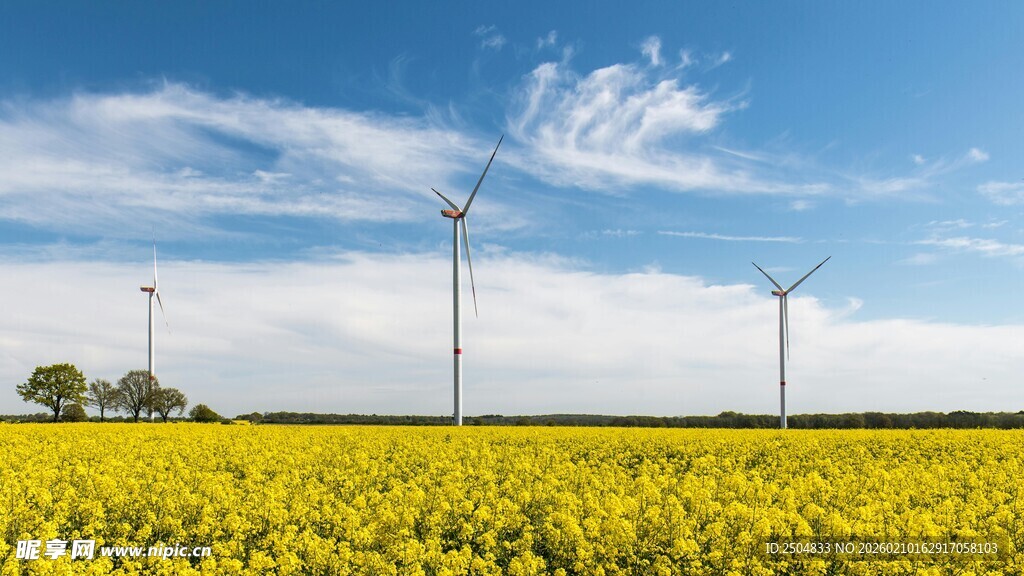 金黄田野上的风力发电机组