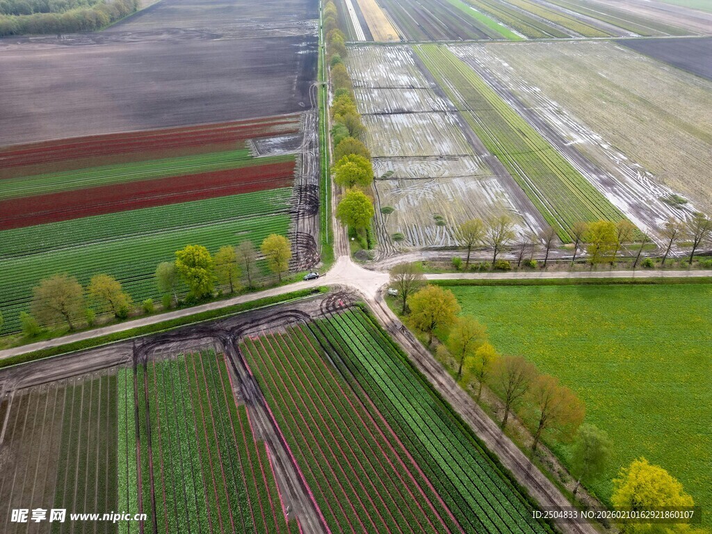 田园风光航拍图