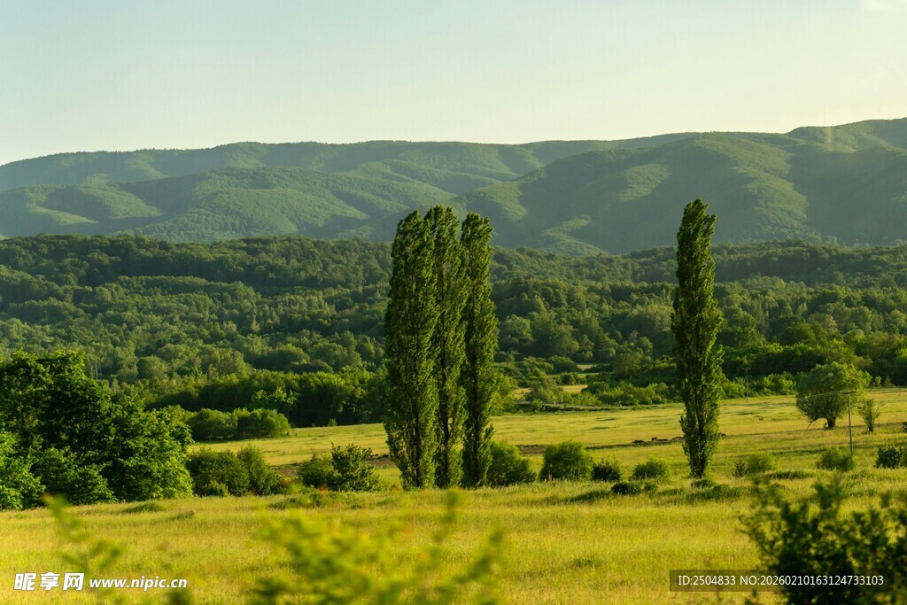 田园绿野间的葱郁风光