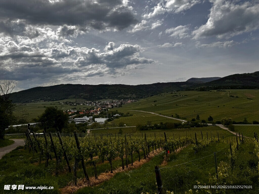 田园风光下的广袤绿色田野