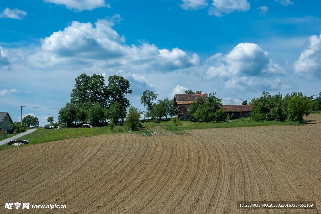 田园风光下的开阔农田
