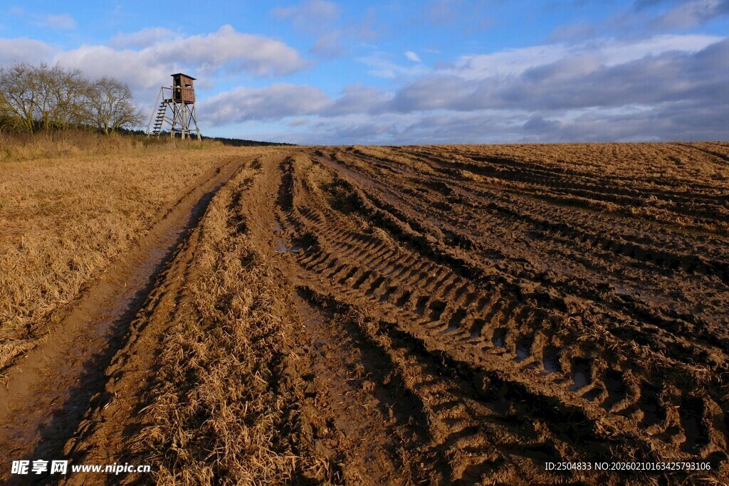 田野上的车辙与远处灯塔