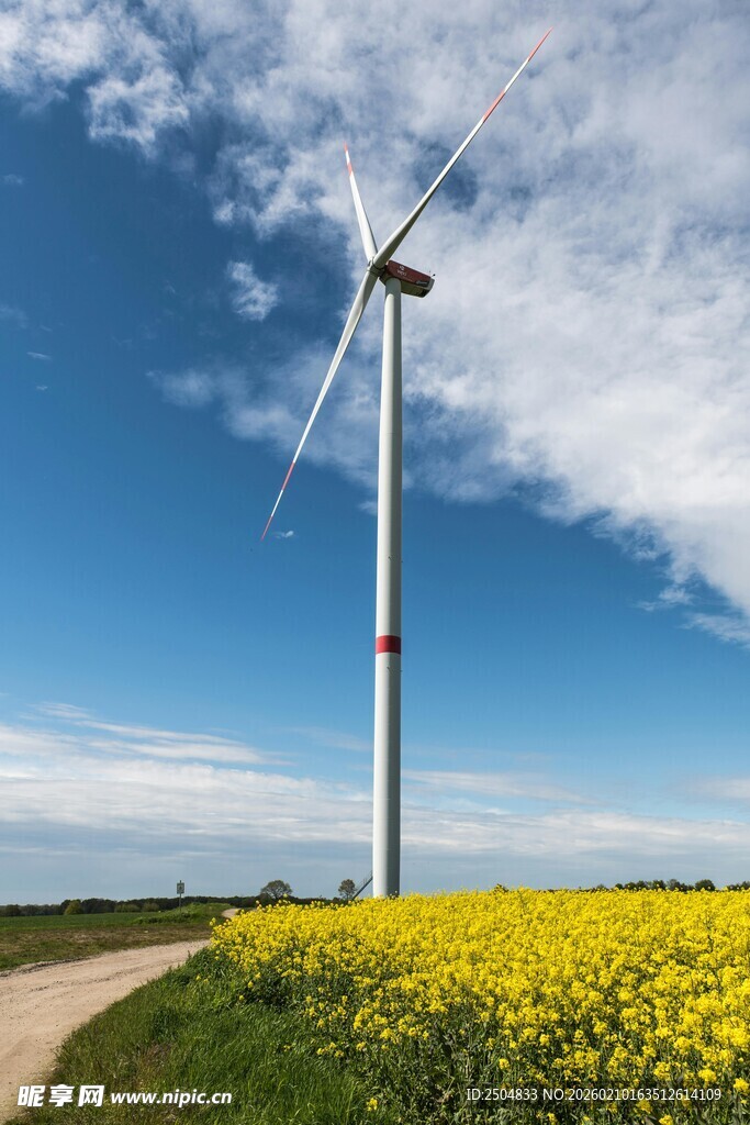 田野中的风力发电机