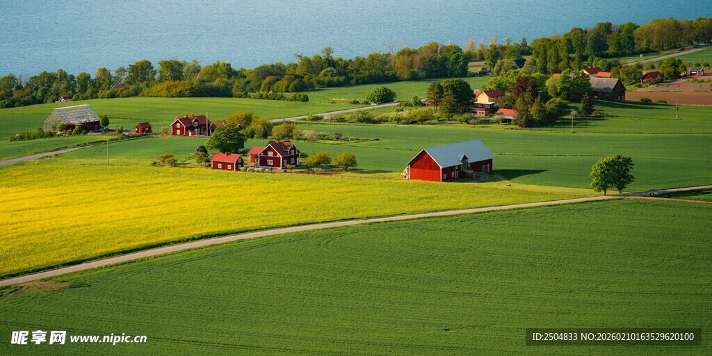田园风光中的多彩田野