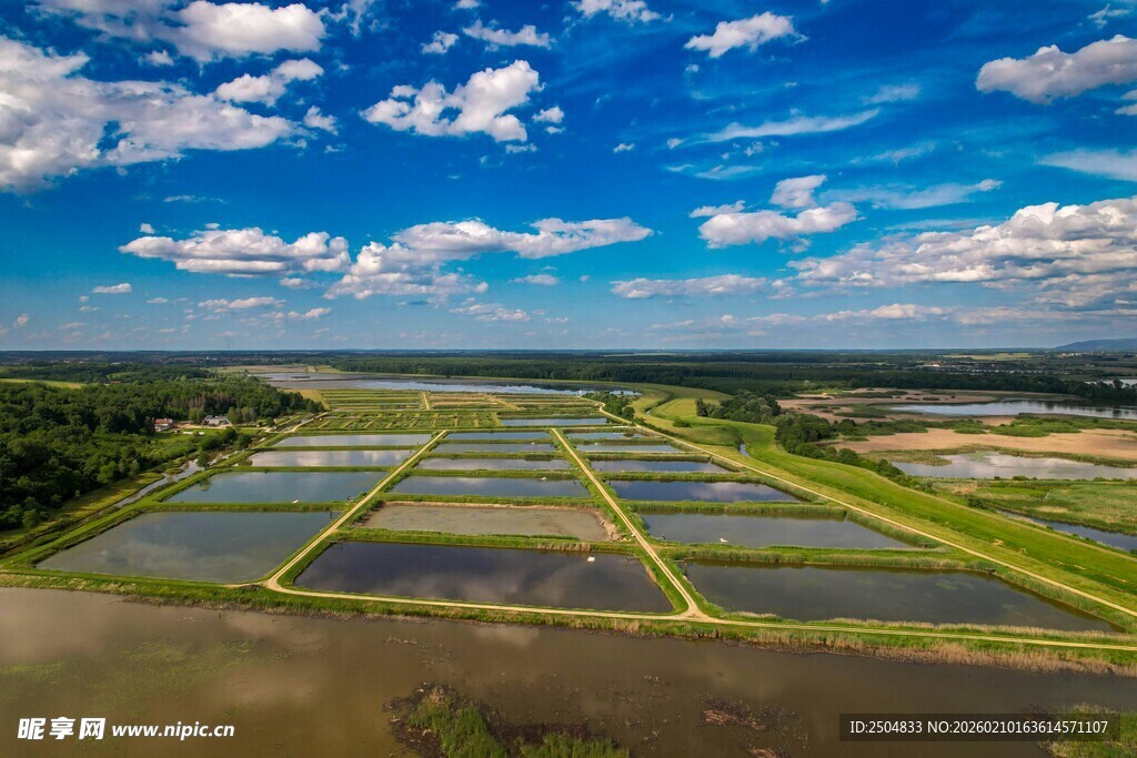田园风光中的规整水田