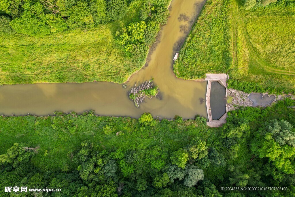 俯瞰绿意盎然的乡村小道