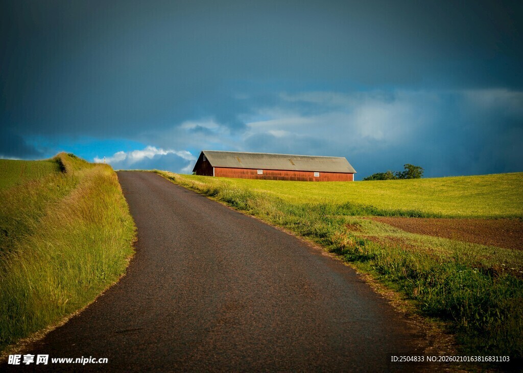 乡间小路旁的田园风光