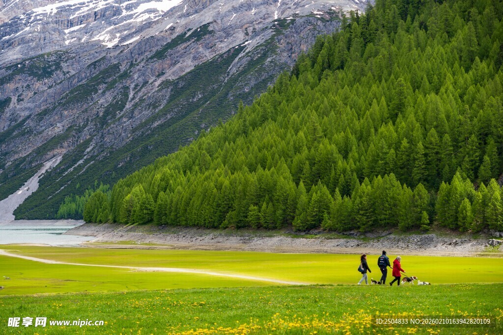 山间草地的户外美好景象