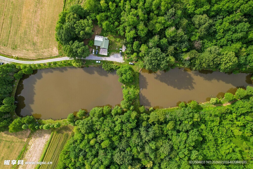 俯瞰绿意环绕的静谧池塘