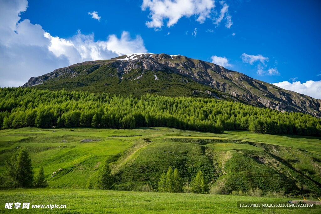 青山绿野间的秀丽风光