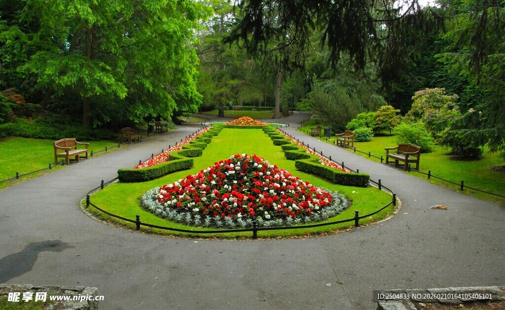 花园中的多彩花卉景观