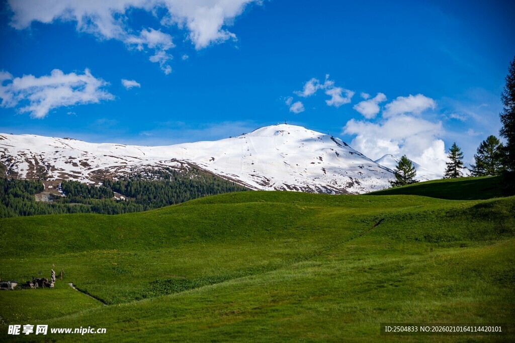 雪山下的翠绿草原风光