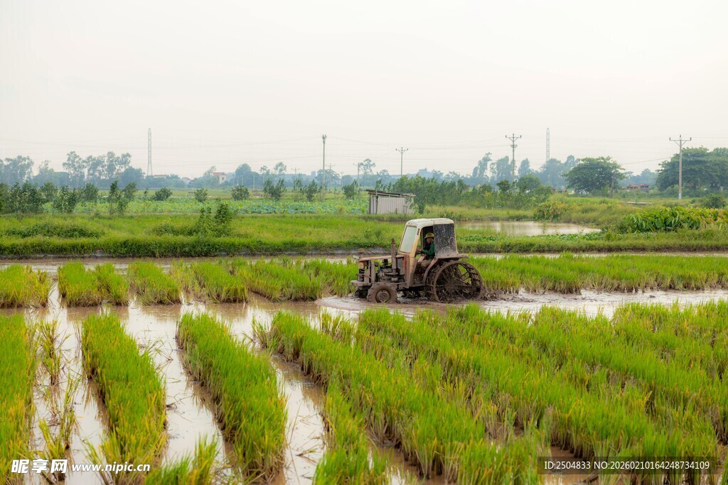 稻田中农机作业景象