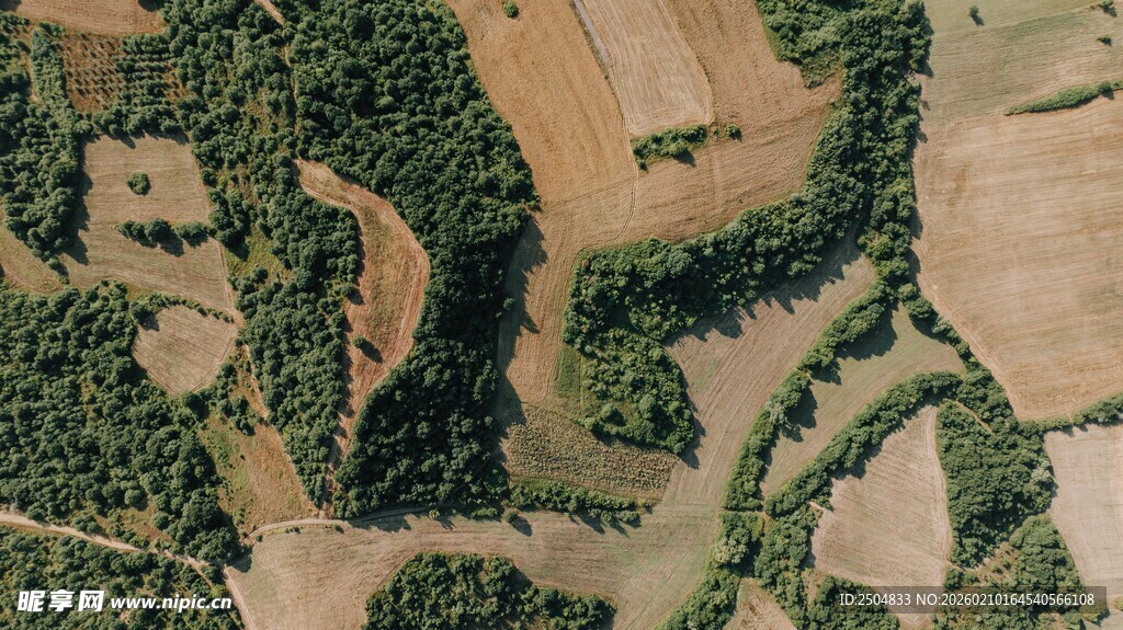 空中俯瞰多彩农田景观