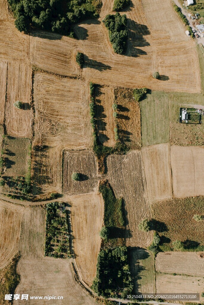 俯瞰古朴农田景观