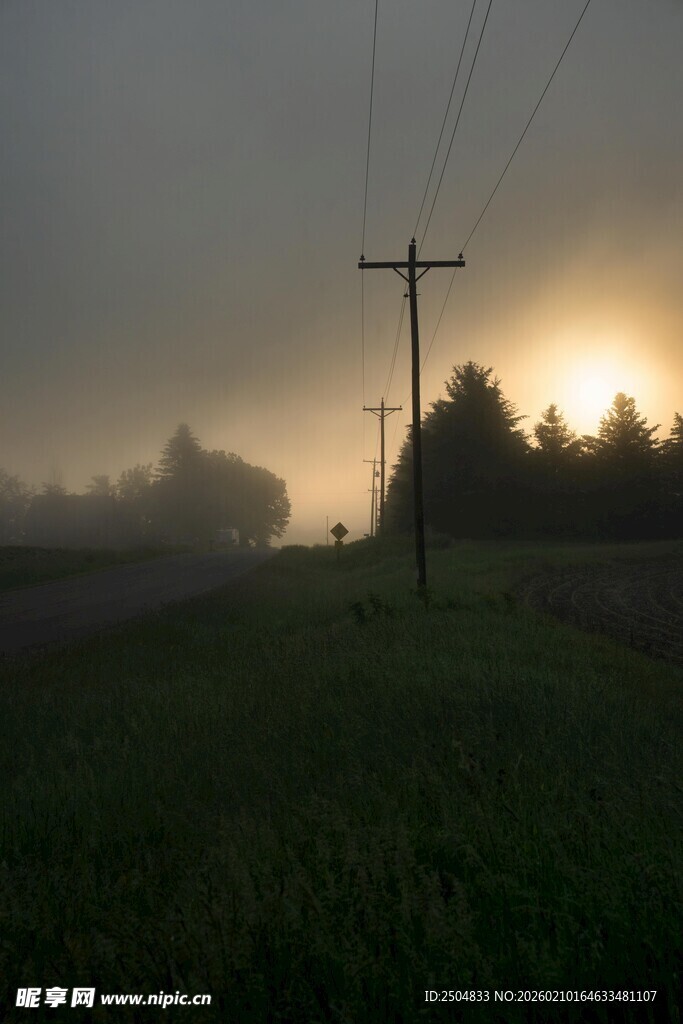 晨雾中的田野与电线杆