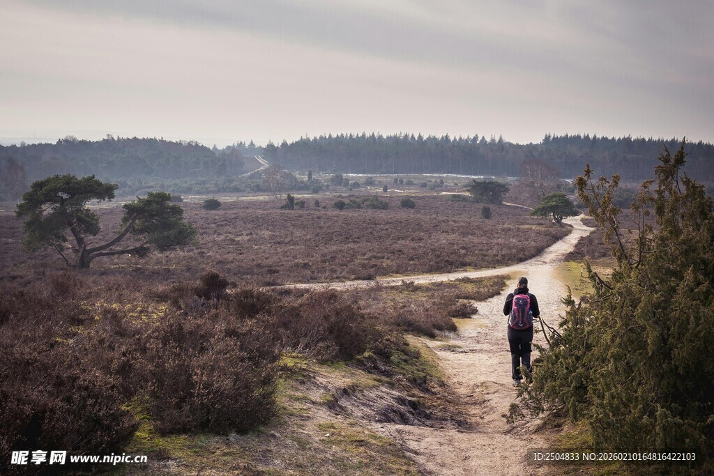 徒步者穿行于荒野小径