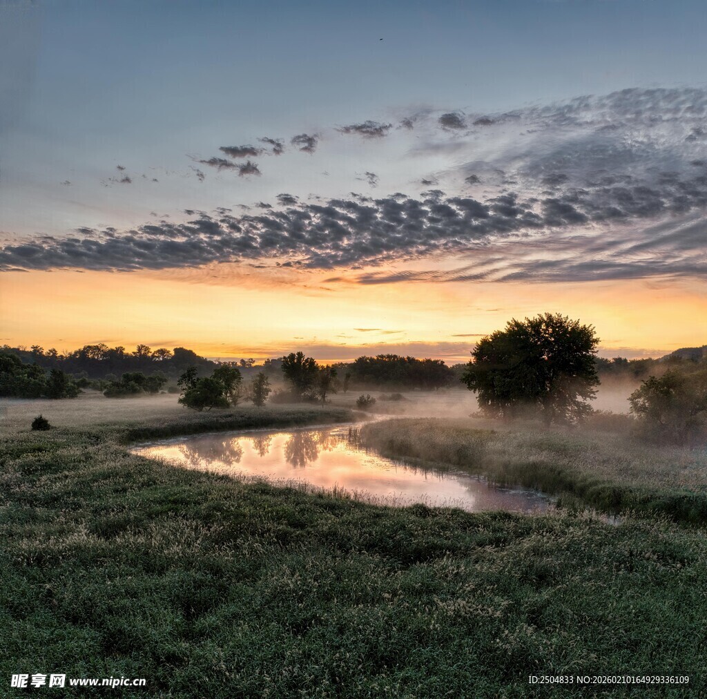 日出时分的静谧原野风光