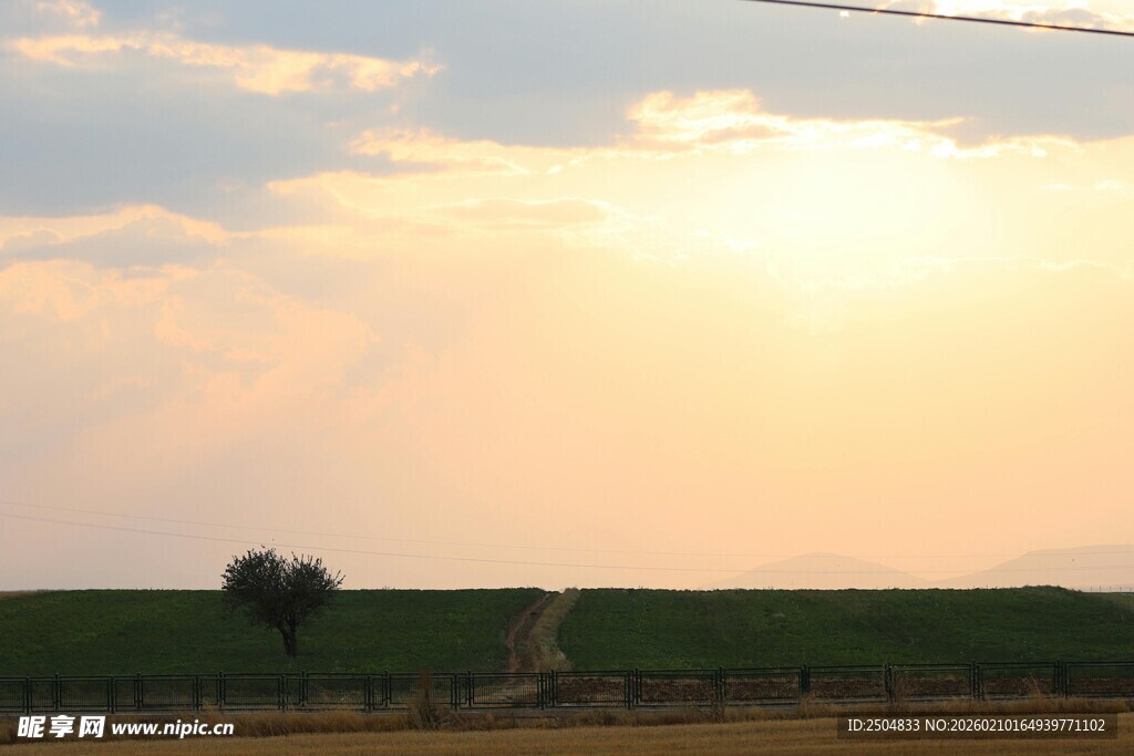 夕阳下的田野劳作景象