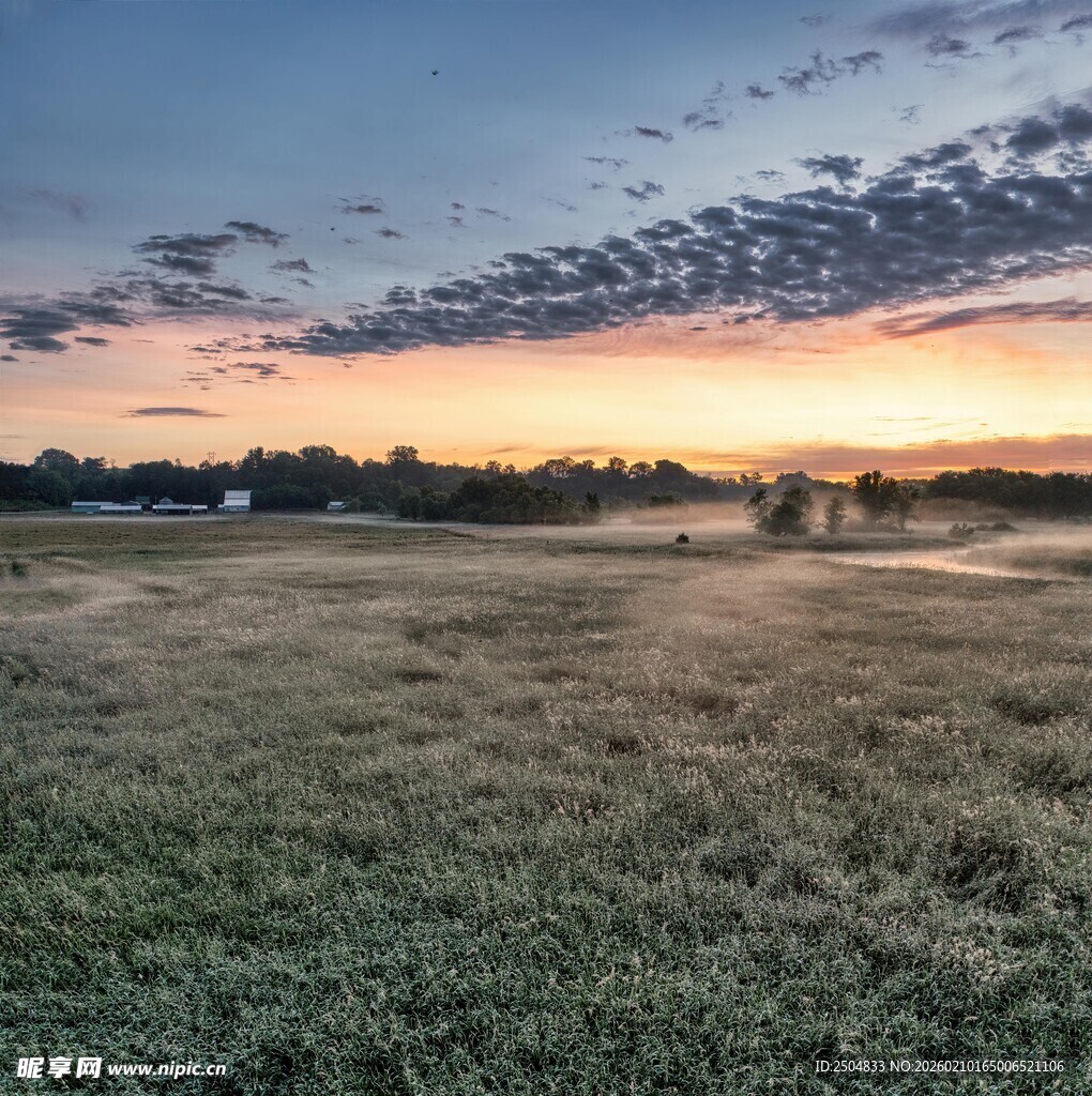 日出时分的广袤草地景观