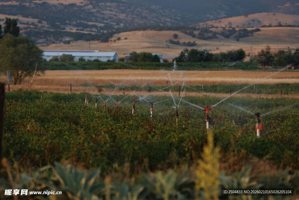 田园风光中的广袤农田