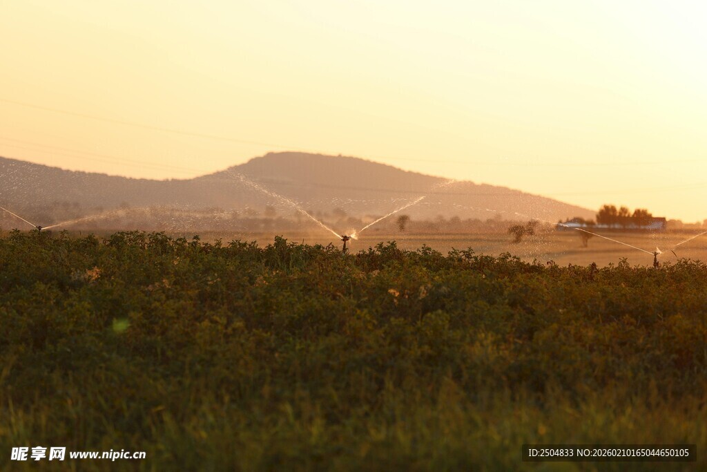 黄昏下的山野草地风光