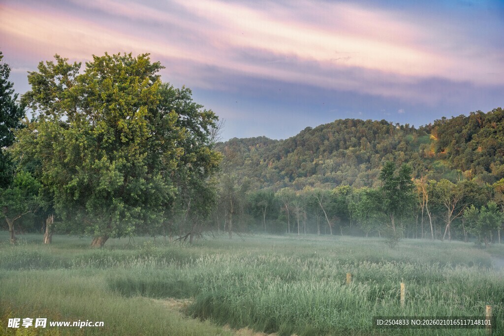 晨雾中的山野田园美景