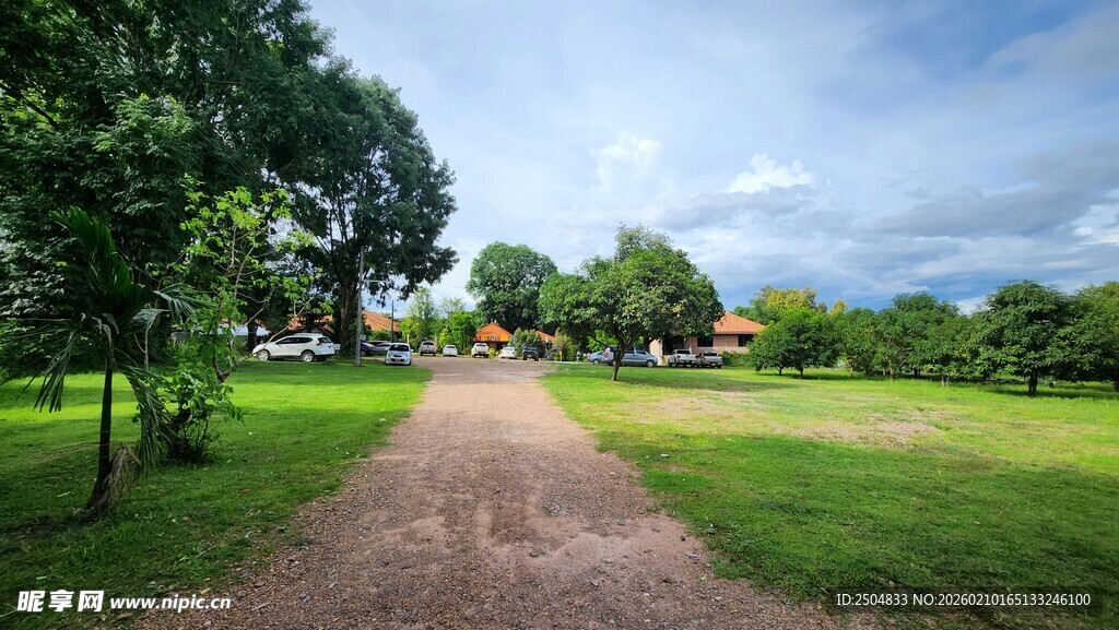 乡间土路 绿意盎然的景致