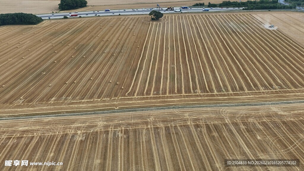 金黄麦田俯瞰图