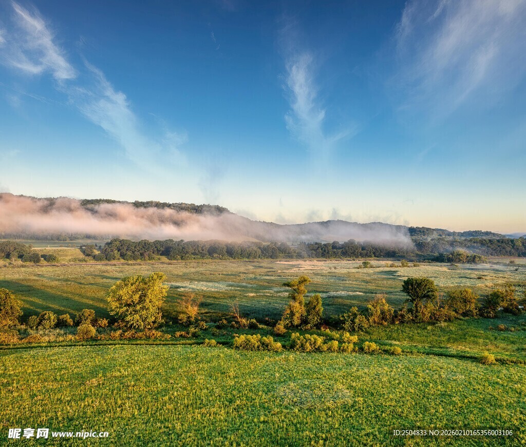 田园晨景 云雾缭绕的绿野