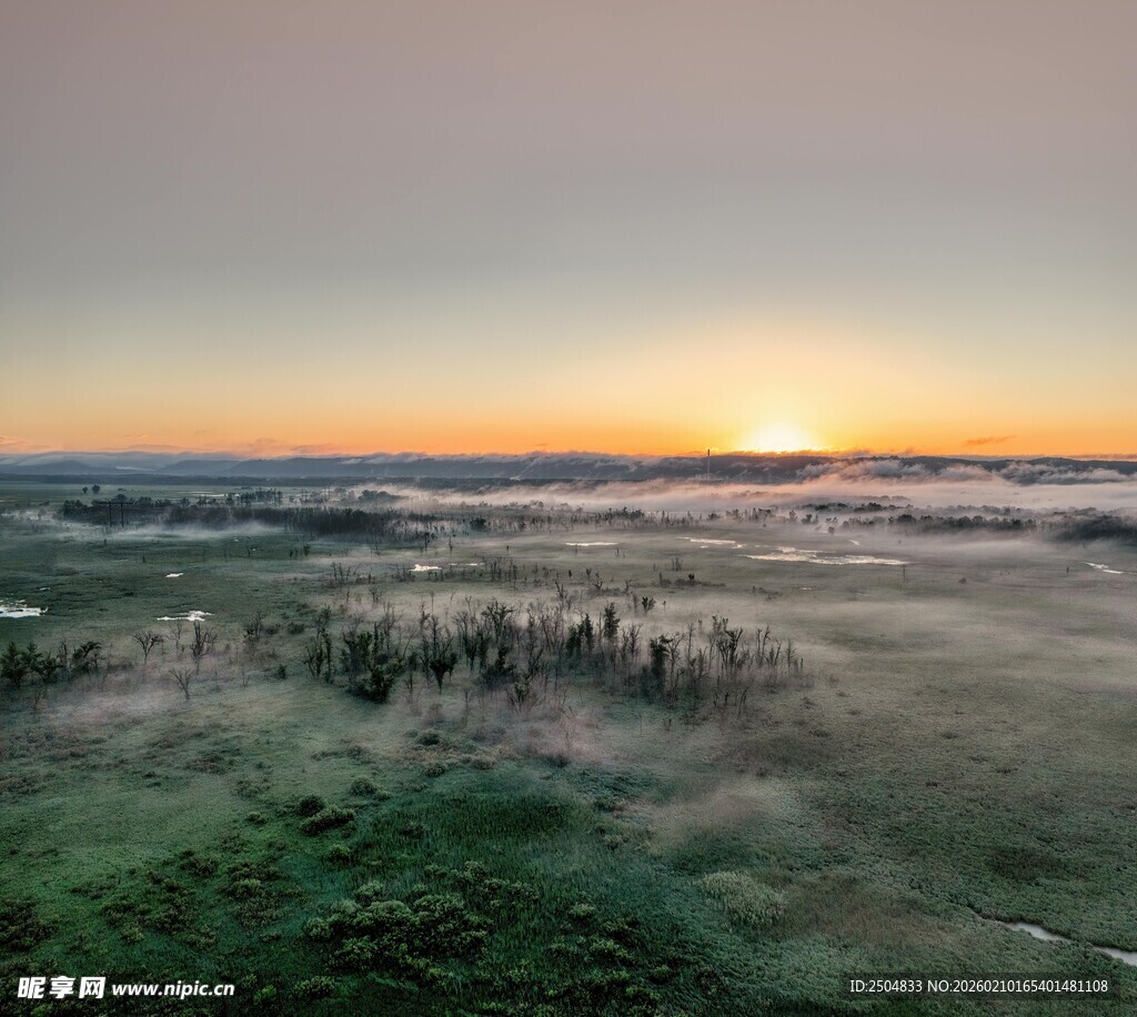 日出下的雾中静谧原野