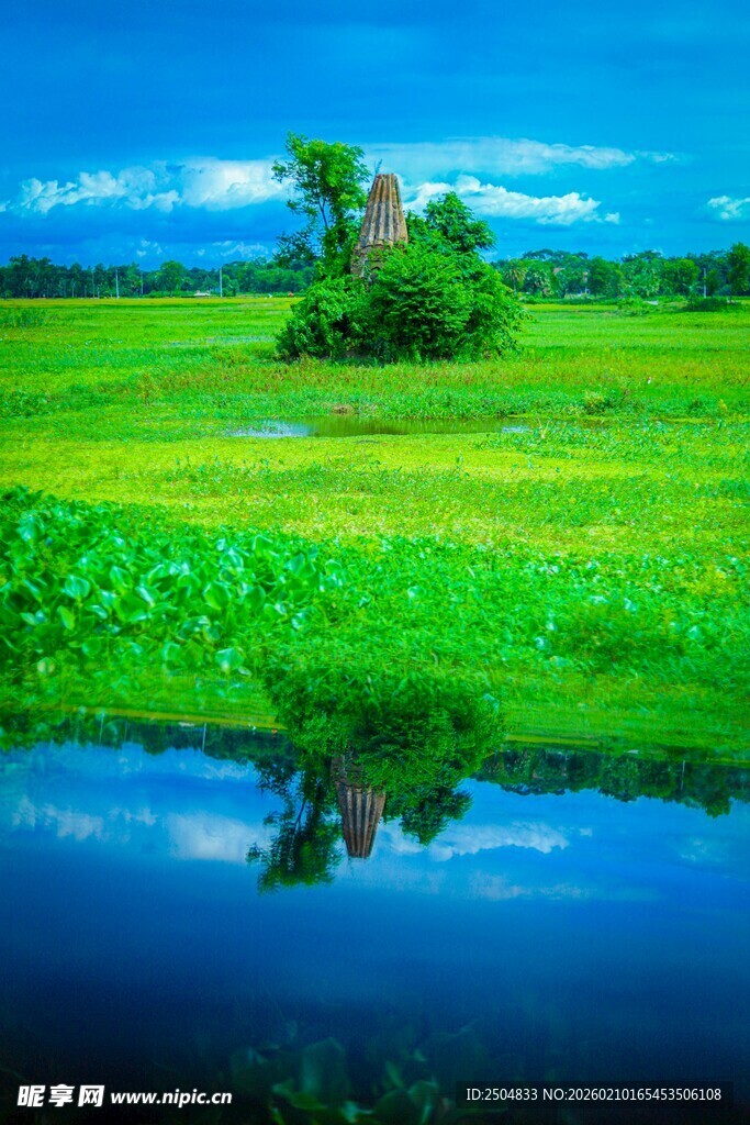 田园风光中的静谧小屋