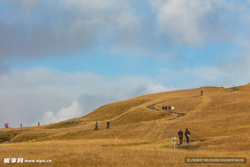 秋日山坡漫步景象